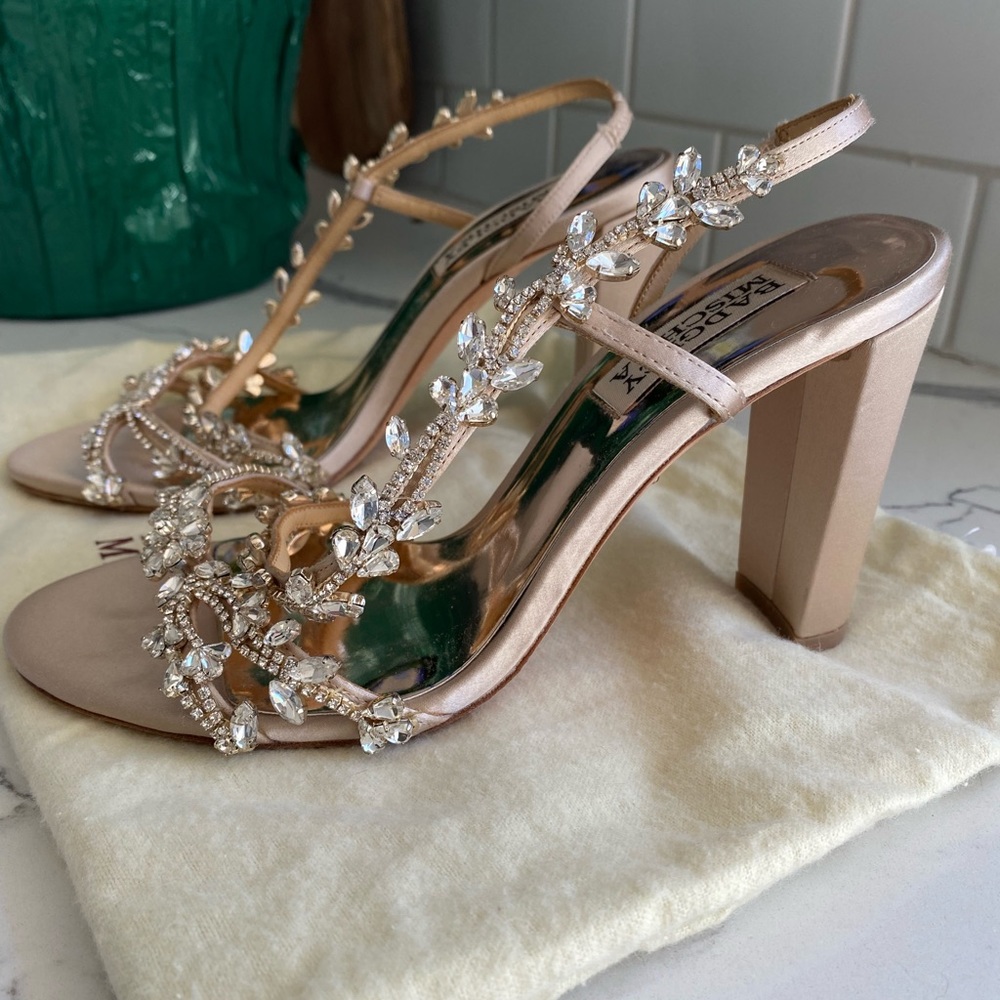 Absolutely gorgeous Badgley Mischka heels.